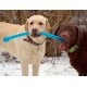 Kong Safestix Termoplastik Köpek Oyuncağı L 71cm Kong Safestix Termoplastik Köpek Oyuncağı L 71cm