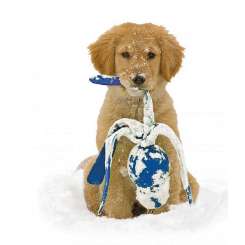 Kong Wubba Sesli Köpek Oyuncağı S 21cm Kong Wubba Sesli Köpek Oyuncağı S 21cm