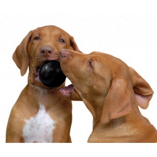 Kong Köpek Extreme Oyun Topu M-L 8cm Kong Köpek Extreme Oyun Topu M-L 8cm