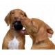 Kong Köpek Extreme Oyun Topu M-L 8cm Kong Köpek Extreme Oyun Topu M-L 8cm