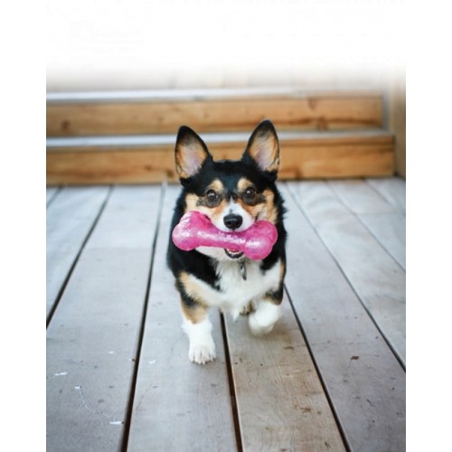 Kong Squeezz Hışırtı Sesli Köpek Sopası L 28cm Kong Squeezz Hışırtı Sesli Köpek Sopası L 28cm