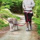 Trixie Köpek Yürüme Koşma Gezdirme Kayışı Kırmızı Trixie Köpek Yürüme Koşma Gezdirme Kayışı Kırmızı