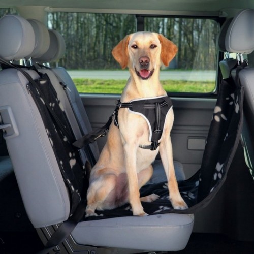 Trixie Köpek Arka Koltuk Havuzu Örtüsü 0,65x1,45m Trixie Köpek Arka Koltuk Havuzu Örtüsü 0,65x1,45m