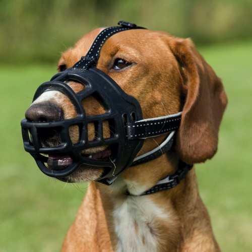 Trixie Esnek Silikon Köpek Ağızlığı S Trixie Esnek Silikon Köpek Ağızlığı S
