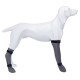 Trixie Köpek Çorabı Su Geçirmez 1 Adet M 8cm 35cm Gri Trixie Köpek Çorabı Su Geçirmez 1 Adet M 8cm 35cm Gri