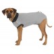 Trixie Köpekler İçin Koruyucu Gövde Kıyafeti M-L 50cm Gri Trixie Köpekler İçin Koruyucu Gövde Kıyafeti M-L 50cm Gri
