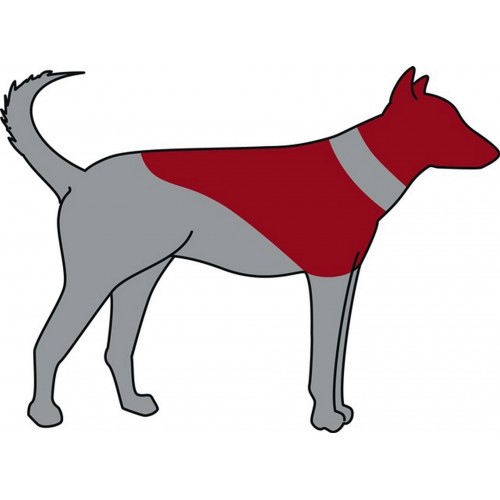 Trixie Köpek Koruyucu Şişme Yakalık Xs Mavi Trixie Köpek Koruyucu Şişme Yakalık Xs Mavi