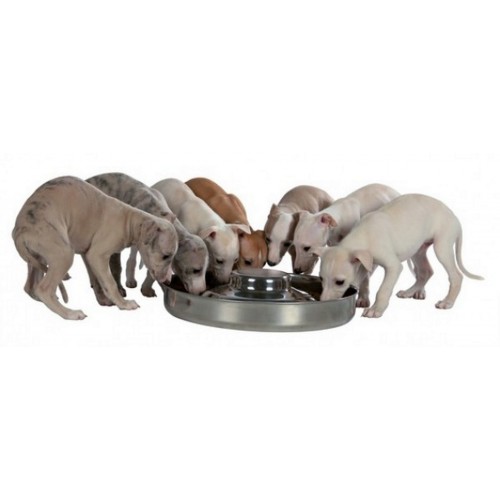 Trixie Yavru Köpek Mama ve Su Kabı 1,4Lt 29cm Trixie Yavru Köpek Mama ve Su Kabı 1,4Lt 29cm