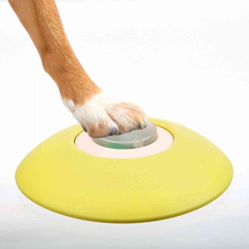 Trixie Köpek Hafıza Oyunu 20×24cm Trixie Köpek Hafıza Oyunu 20×24cm
