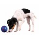 Trixie Köpek Ödül Topu 14cm Trixie Köpek Ödül Topu 14cm
