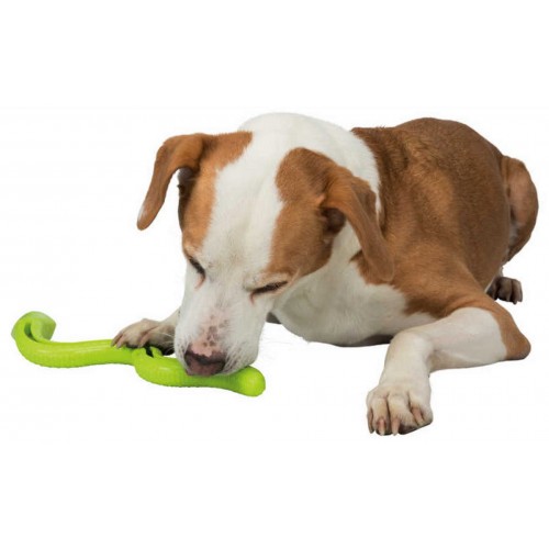 Trixie Köpek Ödül Oyuncağı Yeşil Yılan Tpr 42cm Trixie Köpek Ödül Oyuncağı Yeşil Yılan Tpr 42cm