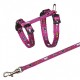 Trixie Yavru Kedi Göğüs Tasması Seti 21-34cm 8mm Trixie Yavru Kedi Göğüs Tasması Seti 21-34cm 8mm