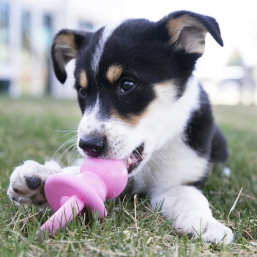 Kong Puppy Yavru Köpek Diş Kaşıma Emzik S 12cm Kong Puppy Yavru Köpek Diş Kaşıma Emzik S 12cm