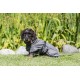 Trixie Köpek Havlu Bornoz XS 30cm Gri Trixie Köpek Havlu Bornoz XS 30cm Gri
