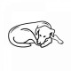 Pet Comfort Alpha Mirandus 20 Kedi ve Köpek Yatağı 50x60cm Pet Comfort Alpha Mirandus 20 Kedi ve Köpek Yatağı 50x60cm