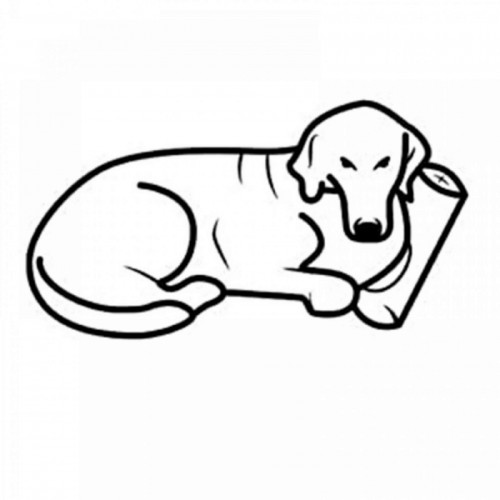 Pet Comfort Alpha Mirandus 20 Kedi ve Köpek Yatağı 50x60cm Pet Comfort Alpha Mirandus 20 Kedi ve Köpek Yatağı 50x60cm