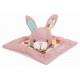 Trixie Yavru Kedi Oyuncağı Valerian Otlu 13x13cm Trixie Yavru Kedi Oyuncağı Valerian Otlu 13x13cm