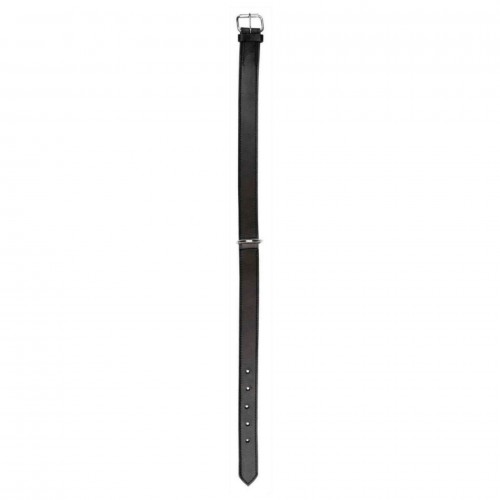 Trixie Köpek Boyun Tasması Gerçek Deri 39-46cm 22mm M Siyah Trixie Köpek Boyun Tasması Gerçek Deri 39-46cm 22mm M Siyah