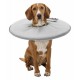 Trixie Köpek Yakalığı XL 60-64cm 29cm Gri Trixie Köpek Yakalığı XL 60-64cm 29cm Gri
