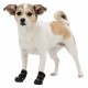 Trixie Köpek Yürüyüş Botu 2 Adet XS-S Siyah Trixie Köpek Yürüyüş Botu 2 Adet XS-S Siyah