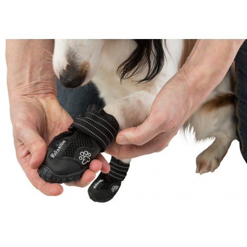 Trixie Köpek Yürüyüş Botu 2 Adet L-XL Siyah Trixie Köpek Yürüyüş Botu 2 Adet L-XL Siyah
