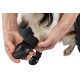 Trixie Köpek Yürüyüş Botu 2 Adet L-XL Siyah Trixie Köpek Yürüyüş Botu 2 Adet L-XL Siyah