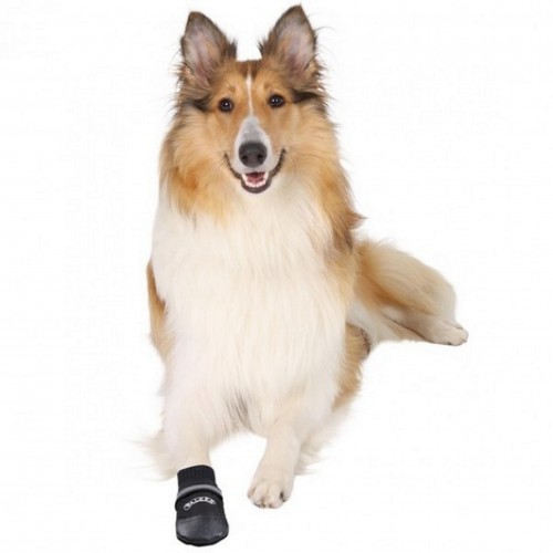 Trixie Köpek Patiği Yumuşak 2 Adet XXL Bernese Dağ Köpeği Siyah Trixie Köpek Patiği Yumuşak 2 Adet XXL Bernese Dağ Köpeği Siyah