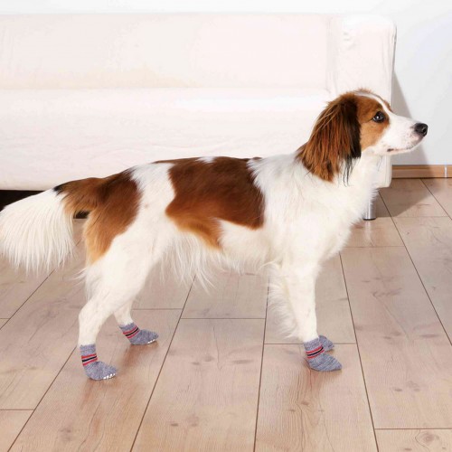 Trixie Köpek Çorabı Kaydırmaz 2 Adet L-XL German Shepherd Trixie Köpek Çorabı Kaydırmaz 2 Adet L-XL German Shepherd