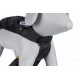 Trixie Köpek Paltosu ve Yağmurluğu S 40cm Siyah Trixie Köpek Paltosu ve Yağmurluğu S 40cm Siyah
