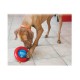 Kong Gyro Ödüllü Köpek Oyuncağı L 17cm Kong Gyro Ödüllü Köpek Oyuncağı L 17cm