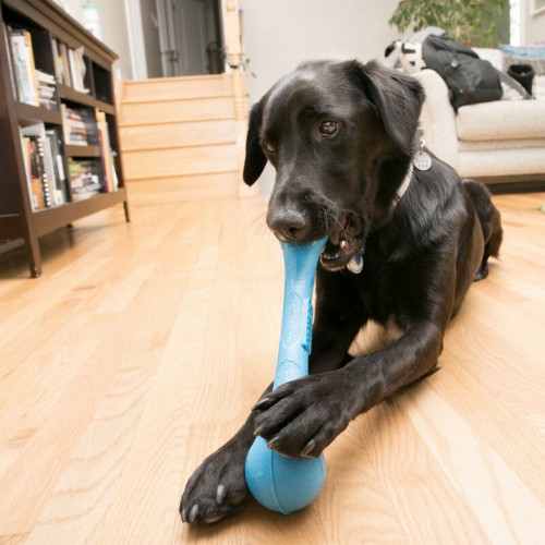 Kong Köpek SqueakStix At Getir Oyuncağı M Kong Köpek SqueakStix At Getir Oyuncağı M