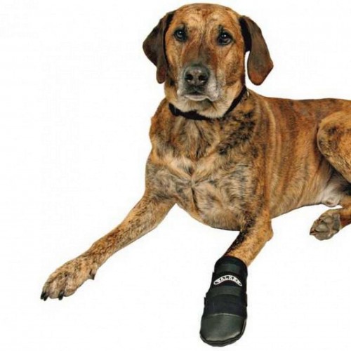 Trixie Köpek Patiği Neopren 2 Adet XL Siyah Trixie Köpek Patiği Neopren 2 Adet XL Siyah