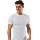 Erdem Beyaz Penye Amerikan Yaka T-Shirt 1165 Renk Beyaz Beden 3XL Erdem Beyaz Penye Amerikan Yaka T-Shirt 1165 Renk Beyaz Beden 3XL