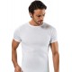 Erdem Beyaz Ribana Kapalı Yaka T-Shirt 1197 Renk Beyaz Beden M Erdem Beyaz Ribana Kapalı Yaka T-Shirt 1197 Renk Beyaz Beden M