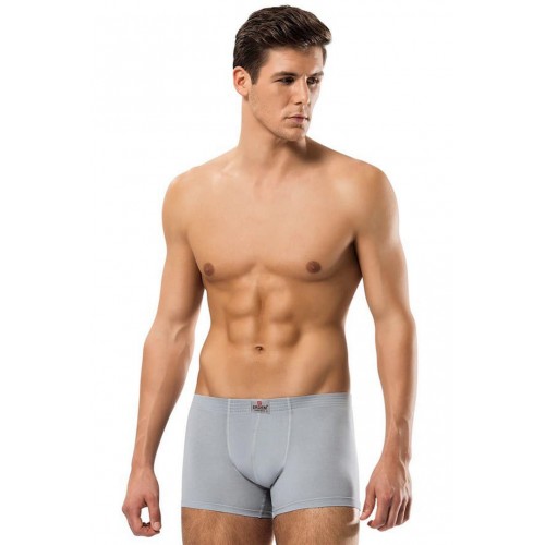 Erdem Gri Kısa Görünümlü Slim Fit Boxer 1420 Renk Gri Beden 3XL Erdem Gri Kısa Görünümlü Slim Fit Boxer 1420 Renk Gri Beden 3XL