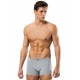 Erdem Gri Kısa Görünümlü Slim Fit Boxer 1420 Renk Gri Beden 3XL Erdem Gri Kısa Görünümlü Slim Fit Boxer 1420 Renk Gri Beden 3XL