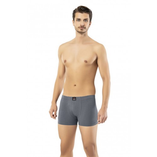 Erdem Füme Kısa Görünümlü Slim Fit Boxer 1400 Renk Füme Beden XL Erdem Füme Kısa Görünümlü Slim Fit Boxer 1400 Renk Füme Beden XL