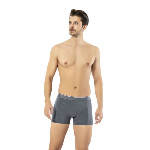 Erdem Füme Pamuk Elastan Klasik Boxer 1445 Renk Füme Beden XL Erdem Füme Pamuk Elastan Klasik Boxer 1445 Renk Füme Beden XL