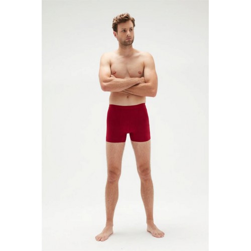 Erdem Bordo Erkek Süper İnce Bambu Boxer 1012 Renk Bordo Beden XL Erdem Bordo Erkek Süper İnce Bambu Boxer 1012 Renk Bordo Beden XL
