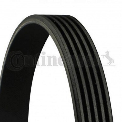 KANALLI KAYIŞ FERRARI 456 MITSUBSUBISHI RENAULT 25 2.7 12V 84-89 2.8 12V 86-92 58391 KANALLI KAYIŞ FERRARI 456 MITSUBSUBISHI RENAULT 25 2.7 12V 84-89 2.8 12V 86-92 58391