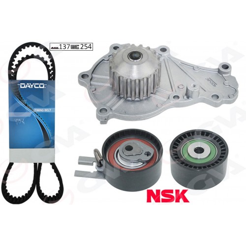 DEVİRDAİMLİ EKSANTRİK GERGİ KİTİ 137x254 P207-307-308-PART-C3-C4-C5-BERL- FIESTA-FOCUS 1.6HDI-TDI DEVİRDAİMLİ EKSANTRİK GERGİ KİTİ 137x254 P207-307-308-PART-C3-C4-C5-BERL- FIESTA-FOCUS 1.6HDI-TDI