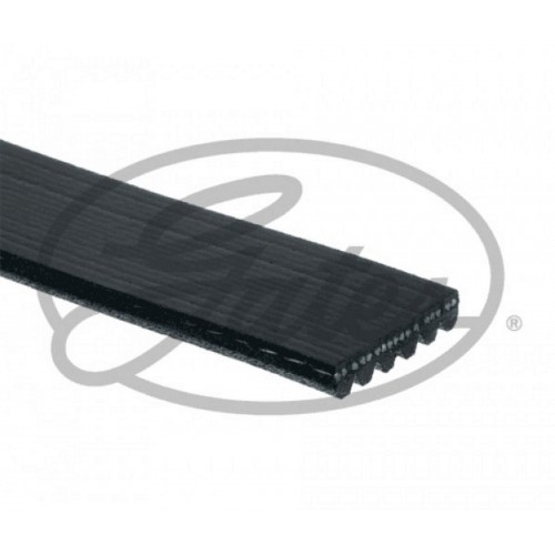 KANALLI KAYIŞ MICRO-V XF / 68429 (OPEL SİGNUM - FORD ) KANALLI KAYIŞ MICRO-V XF / 68429 (OPEL SİGNUM - FORD )