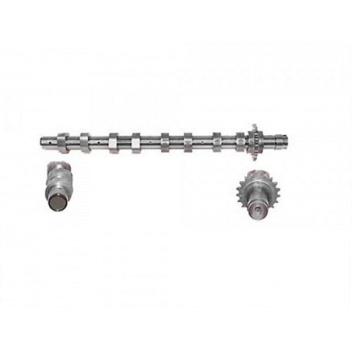EKSANTRİK MİLİ EMME P206-P307-P406 1.6 HDI 16V-FOCUS 1.6 TDCI 16V ÇELİK EKSANTRİK MİLİ EMME P206-P307-P406 1.6 HDI 16V-FOCUS 1.6 TDCI 16V ÇELİK