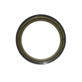 Abs Okuyucu Halka Arka Sandero-Dokker