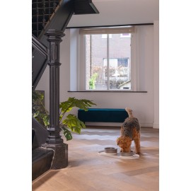 Beeztees DBL Mama Su Kabı Servisi, Silikon, Kaymaz, Bej, 55x30x1,7cm