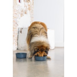 Beeztees DBL Köpek Mama Su Kabı, Mat Siyah Paslanmaz Çelik, 20cm, 1,9L