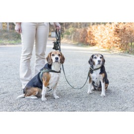 Beeztees DBL Köpek Tasması, Kadife, Nefti, 35-50cm, 20mm