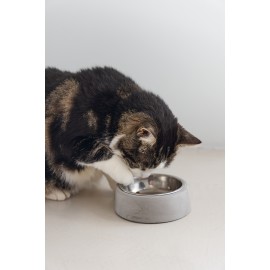 Beeztees DBL Kedi Mama Su Kabı, Paslanmaz Çelik, 12,5cm, 160ml