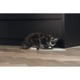 Beeztees DBL Mama Su Kabı Servisi, Silikon, Kaymaz, Bej, 45x25x1,5cm