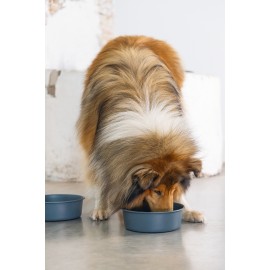 Beeztees DBL Köpek Mama Su Kabı, Mat Siyah Paslanmaz Çelik, 20cm, 1,9L